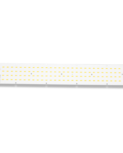 Board LED ww/ww Zeus LED